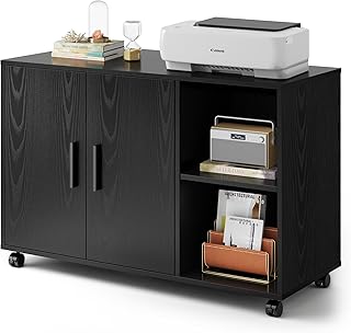 DEVAISE Office Storage Cabinet