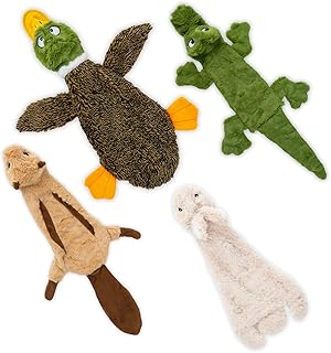 2-in-1 Stuffless Squeaky Dog Toy