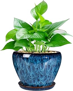Modern Ceramic Succulent Planter