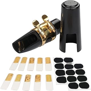 Alto Sax Mouthpiece & Accessories Kit