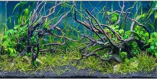 AWERT Tropical Fish Tank Background