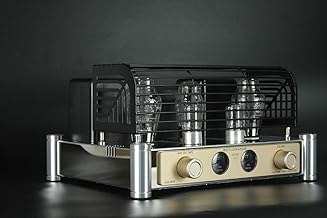 REISONG A50 MKIII Amplifier