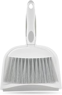 Mini Dustpan and Brush Set