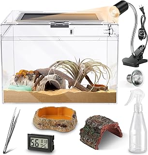 Durable Reptile Mini Terrarium Kit