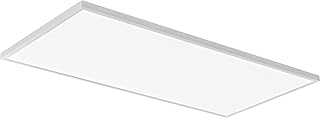 Lithonia 2x4 LED Flat Panel Light