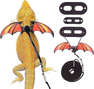 Bearded Dragon Winged Harness