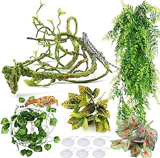Reptile Hanging Plant Vines