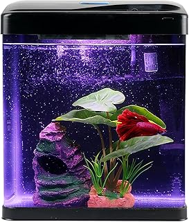 Self-Cleaning Nano Betta Aquarium