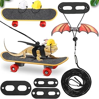 Chivao Bearded Dragon Toy Set