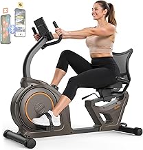 Niceday Smart Recumbent Exercise Bike