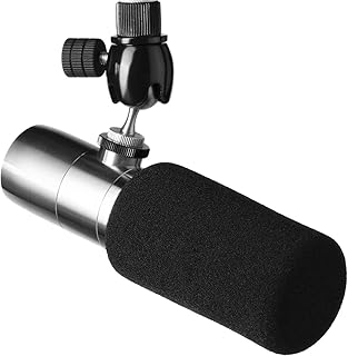 Earthworks ETHOS Broadcasting Microphone