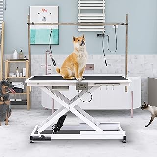 SoarFlash Electric Pet Grooming Table