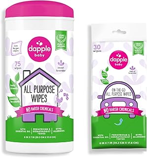 Dapple Baby Lavender Wipes