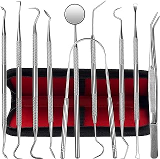Stainless Steel Dental Care Kit