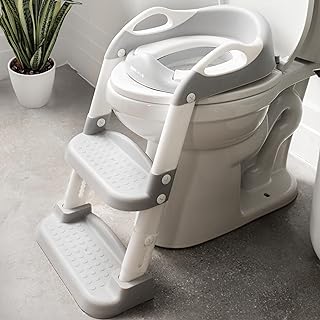 Jool Baby Adjustable Potty Seat