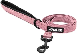 Voyager Reflective Dog Leash