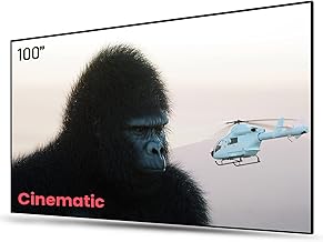 AWOL VISION ALR Projector Screen