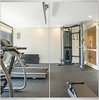 Delma Frameless Gym Mirrors