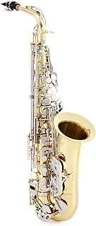 Selmer Student Alto Saxophone