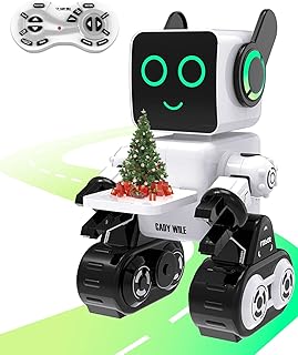 OKK Interactive Robot Toy