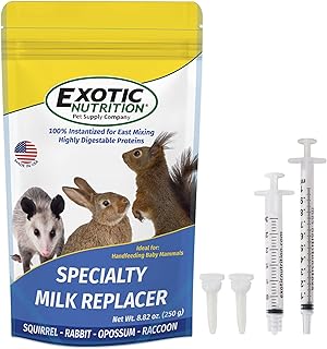 Squirrel Nursing Kit