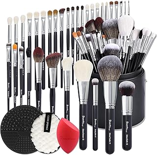 Bueart Pro Artist Brush Set