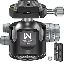 WEYLLAN CH55 Panoramic Tripod Head