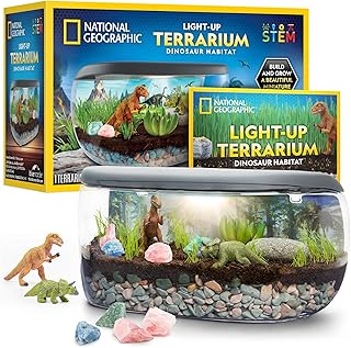 Nat Geo Dino Terrarium Kit
