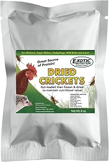 Dried Crickets High Protein Treat