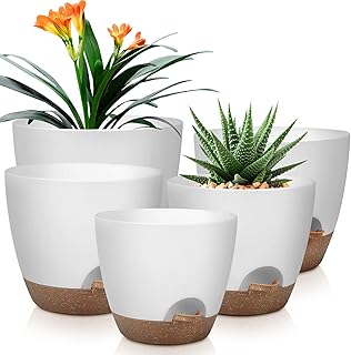 Self-Watering Plant Pots Set