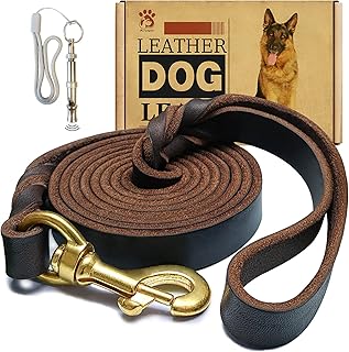Heavy Duty Leather Dog Leash