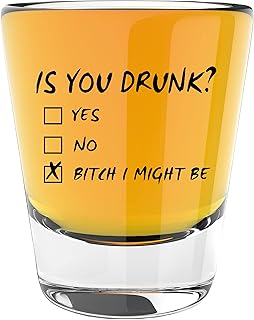 LitGifts Funny Shot Glasses