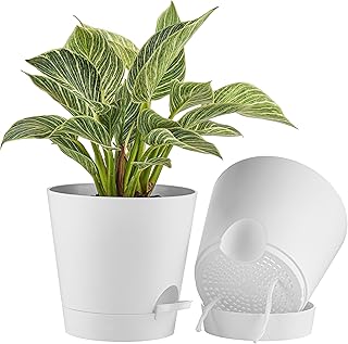 FaithLand Self-Watering Plant Pots