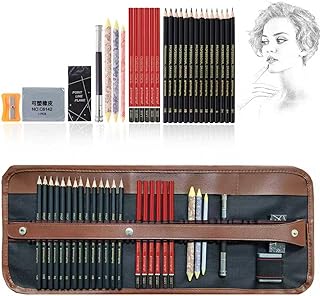 Heshengping Drawing Pencils Sketch Pencil Art Supplies Set for Kids Adults beginners Professional Sketching Art Graphite Charcoal Blending Stump Pencils kit