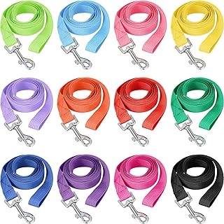 Nylon Dog Training Leashes