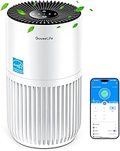 GoveeLife Smart Mini Air Purifier