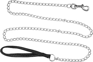 Heavy Duty Metallic Dog Leash