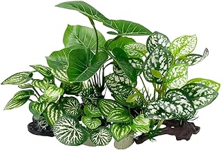 Smoothedo-Pets Betta Fish Hide