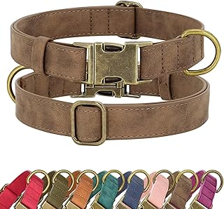 Didog Quick Release Dog Collar