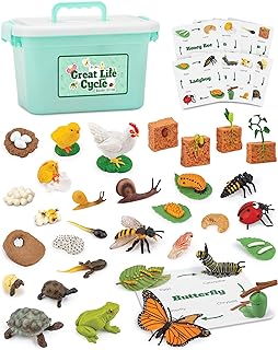 Life Cycle Animal Science Kit