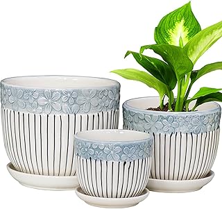 Ceramic Trio Plant Pots