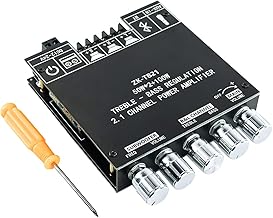 HiFi 2.1 Channel Subwoofer Amplifier