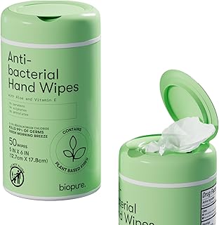 Biopure Antibacterial Morning Breeze Wipes