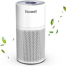 ECOWELL Large Room Air Purifier