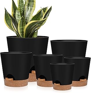 Black Self-Watering Indoor Planters