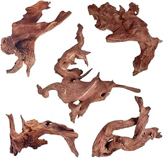 Natural Small Aquarium Driftwood for Fish Tanks & Reptile Terrariums – 100% Safe Fish Tank Decorations, Unique Twisted Branches 5-Piece 4-8 Inch Low Tannin, Easy to Sink