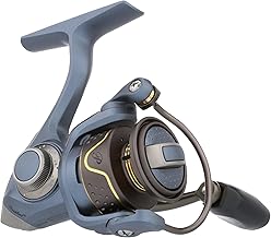 Pflueger President Spinning Reel