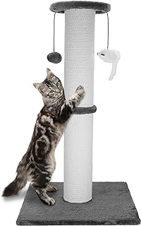 Heavy Duty Cat Scratcher