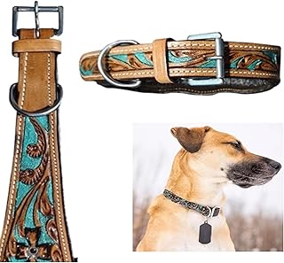 Majestic Ally Leather Dog Collar