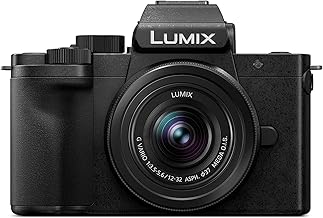 Panasonic LUMIX G100 4K Camera